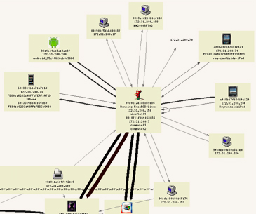 NETERS Software